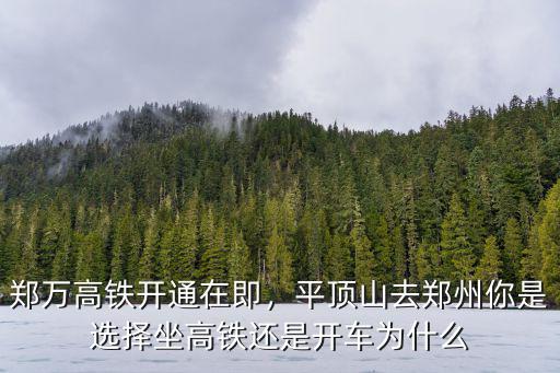 鄭萬高鐵開通在即，平頂山去鄭州你是選擇坐高鐵還是開車為什么