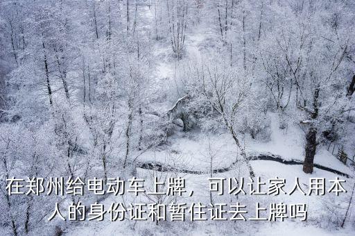 在鄭州給電動車上牌，可以讓家人用本人的身份證和暫住證去上牌嗎