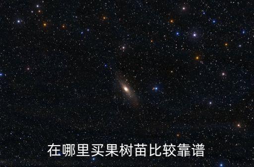 平頂山哪里買果樹苗,買果樹苗哪個網店好