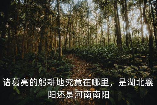 諸葛亮的躬耕地究竟在哪里，是湖北襄陽(yáng)還是河南南陽(yáng)