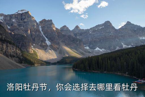 洛陽牡丹節(jié)，你會選擇去哪里看牡丹