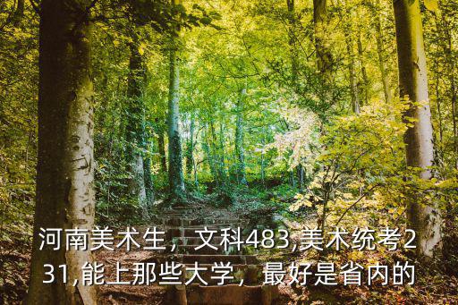 河南美術生，文科483,美術統考231,能上那些大學，最好是省內的