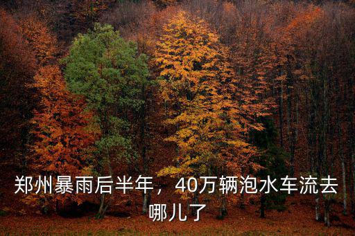 鄭州暴雨后半年，40萬輛泡水車流去哪兒了