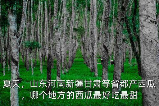 河南哪里的水果好吃,河南哪里的蘋果最好吃
