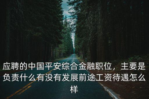 應聘的中國平安綜合金融職位，主要是負責什么有沒有發展前途工資待遇怎么樣
