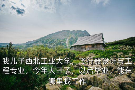 我兒子西北工業(yè)大學(xué)，飛行器設(shè)計(jì)與工程專業(yè)，今年大三了，以后畢業(yè)，能在哪里找工作