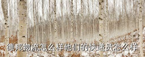 德邦物流怎么樣他們的快遞員怎么樣