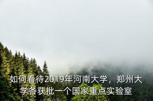 如何看待2019年河南大學，鄭州大學各獲批一個國家重點實驗室