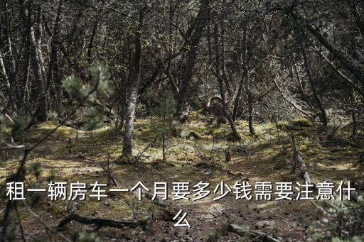 租一輛房車一個(gè)月要多少錢需要注意什么