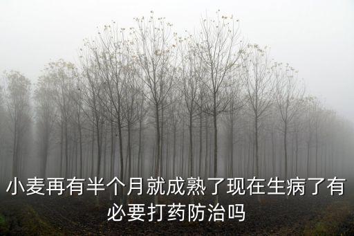 小麥再有半個月就成熟了現在生病了有必要打藥防治嗎