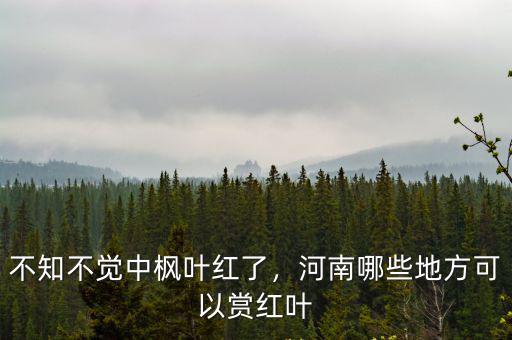 不知不覺中楓葉紅了，河南哪些地方可以賞紅葉
