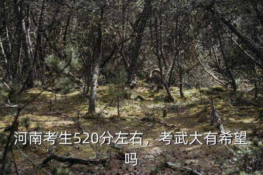 河南考生520分左右，考武大有希望嗎