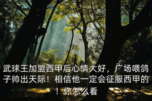 洛陽哪里有喂鴿子的廣場,廣場喂鴿子帥出天際