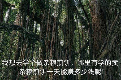 我想去學(xué)個(gè)做雜糧煎餅，哪里有學(xué)的賣雜糧煎餅一天能賺多少錢呢