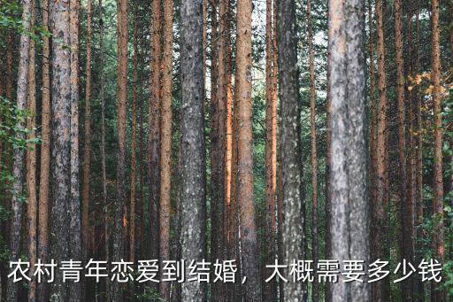 農村青年戀愛到結婚，大概需要多少錢