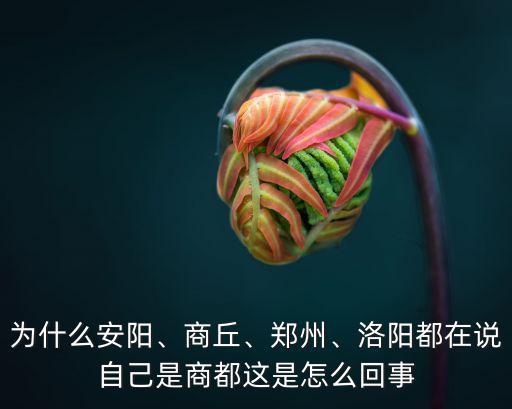 為什么安陽、商丘、鄭州、洛陽都在說自己是商都這是怎么回事
