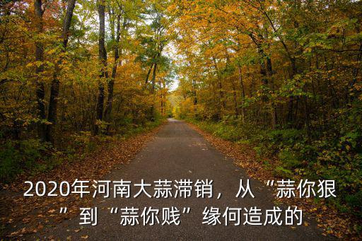 大蒜在河南哪里好,2020年河南大蒜滯銷
