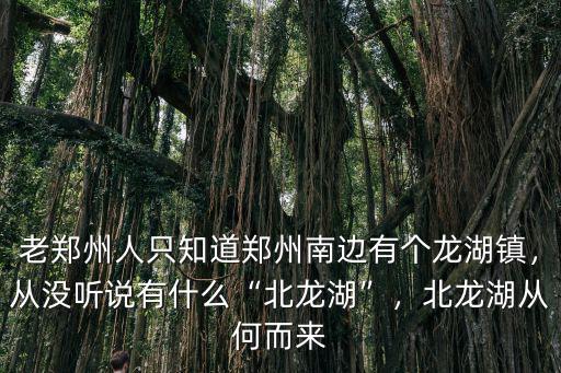 老鄭州人只知道鄭州南邊有個龍湖鎮，從沒聽說有什么“北龍湖”，北龍湖從何而來