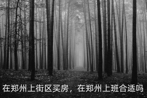 在鄭州上街區(qū)買房，在鄭州上班合適嗎