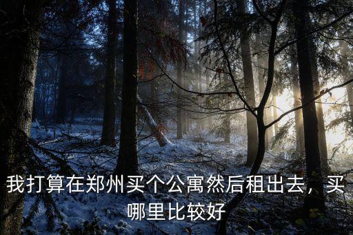 我打算在鄭州買個公寓然后租出去，買哪里比較好
