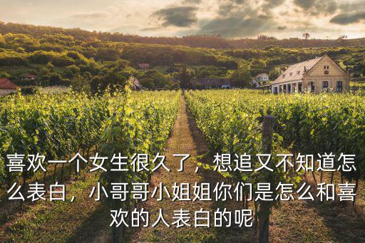 怎么追河南的小哥哥,怎么追班上的小哥哥