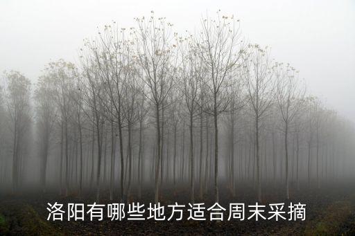 洛陽附近哪里有采摘櫻桃的地方,洛陽有哪些好玩的地方