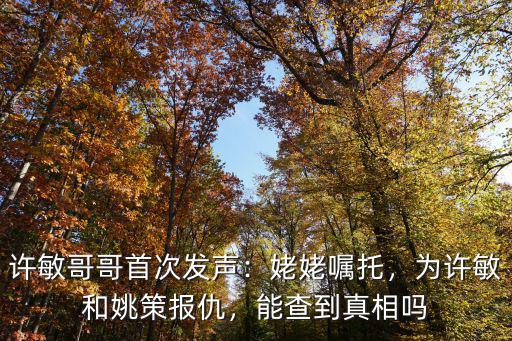 許敏哥哥在河南哪里,許敏哥哥首次發聲