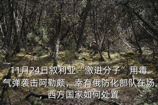 安陽防化部隊在哪里,幸有俄防化部隊在場