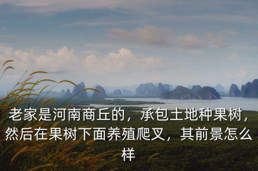 老家是河南商丘的，承包土地種果樹，然后在果樹下面養殖爬叉，其前景怎么樣