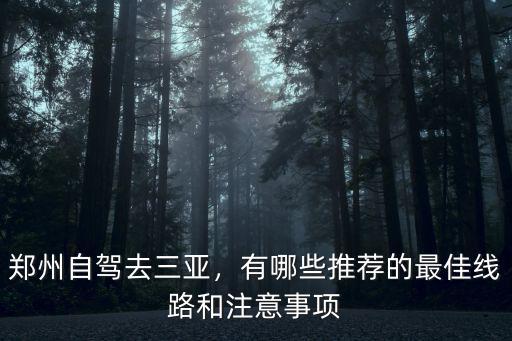 鄭州自駕去三亞，有哪些推薦的最佳線路和注意事項