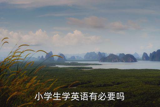 小學生學英語有必要嗎