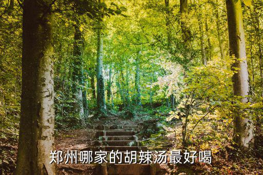 鄭州哪家的胡辣湯最好喝