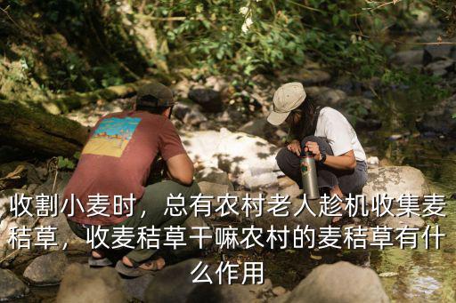南陽哪里有收麥秸,最近哪里可以收到麥秸桿