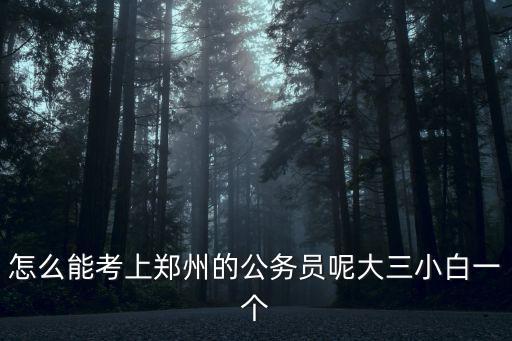 怎么能考上鄭州的公務員呢大三小白一個