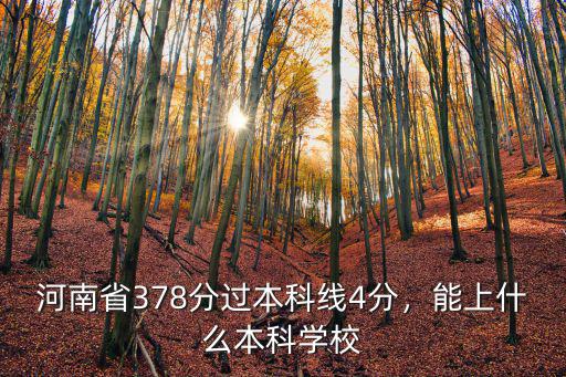 河南省多少分是本科,河南省378分過本科線4分