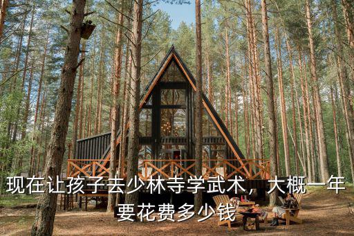 河南少林寺學武要多少錢,大概一年要花費多少錢