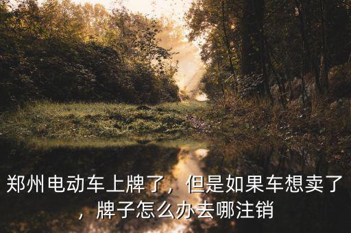 鄭州電動車上牌了，但是如果車想賣了，牌子怎么辦去哪注銷