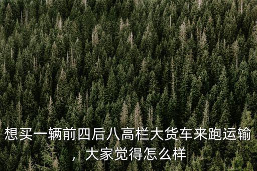想買一輛前四后八高欄大貨車來跑運輸，大家覺得怎么樣