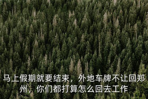 馬上假期就要結束，外地車牌不讓回鄭州，你們都打算怎么回去工作