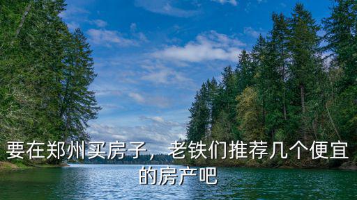 要在鄭州買房子，老鐵們推薦幾個便宜的房產吧