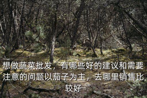 想做蔬菜批發(fā)，有哪些好的建議和需要注意的問題以茄子為主，去哪里銷售比較好