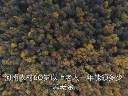 河南農村6O歲以上老人一年能領多少養老金