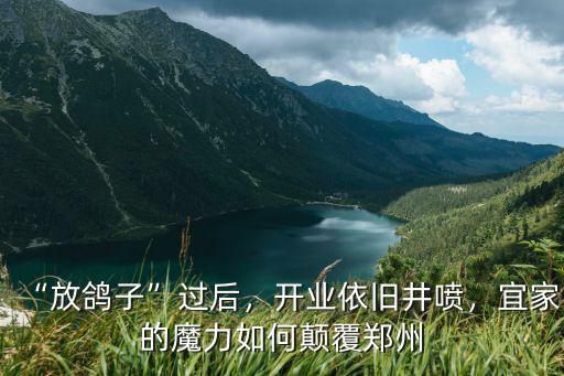 “放鴿子”過后，開業(yè)依舊井噴，宜家的魔力如何顛覆鄭州