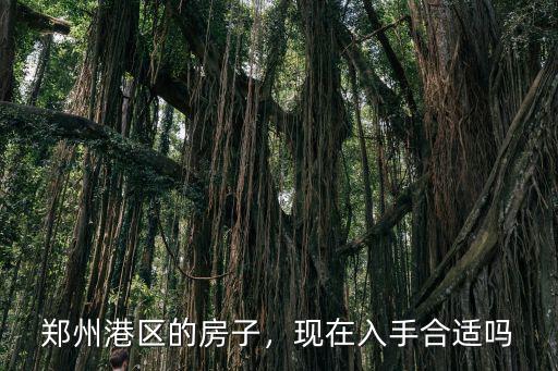 鄭州港區的房子，現在入手合適嗎