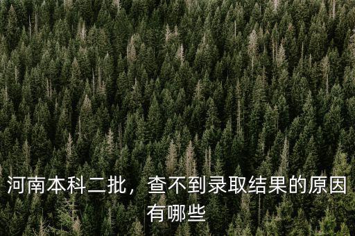 河南本科二批，查不到錄取結果的原因有哪些