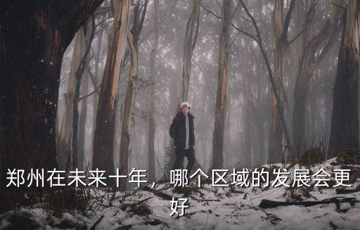鄭州在未來十年，哪個區域的發展會更好