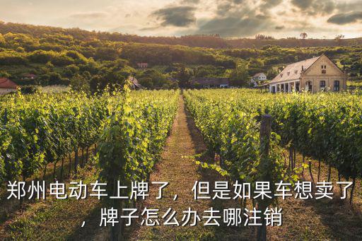 鄭州在哪里電動車上牌,在鄭州給電動車上牌