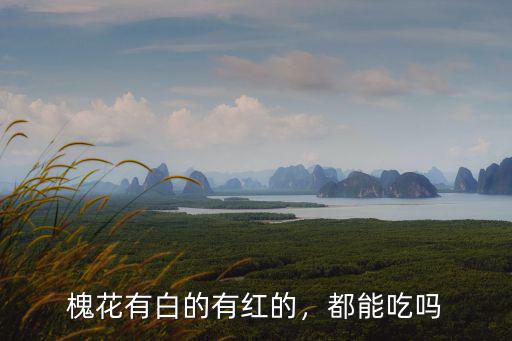 河南商城縣哪里有種槐花樹的,槐花有白的有紅的