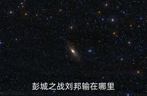 彭城之戰劉邦輸在哪里