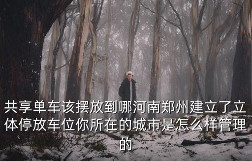 共享單車該擺放到哪河南鄭州建立了立體停放車位你所在的城市是怎么樣管理的